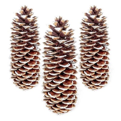 Large Pine Cones for Crafts, 9-12 Inch Extra Large Frosted Sugar Pinecones - ...