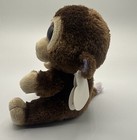 Foto 2 di 7