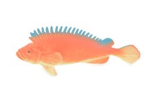 Red Snapper Toy, Realistic Rubber Fish, Figure, Model, Replica 4 1/2" F0416 B378