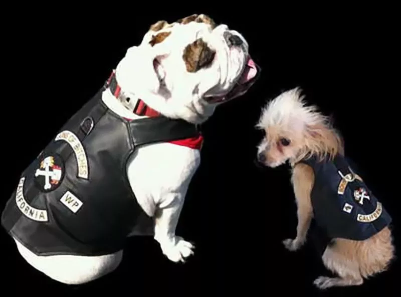 Real Leather Sons of Bitches Dog Biker Motorcycle Jacket Vest Harness