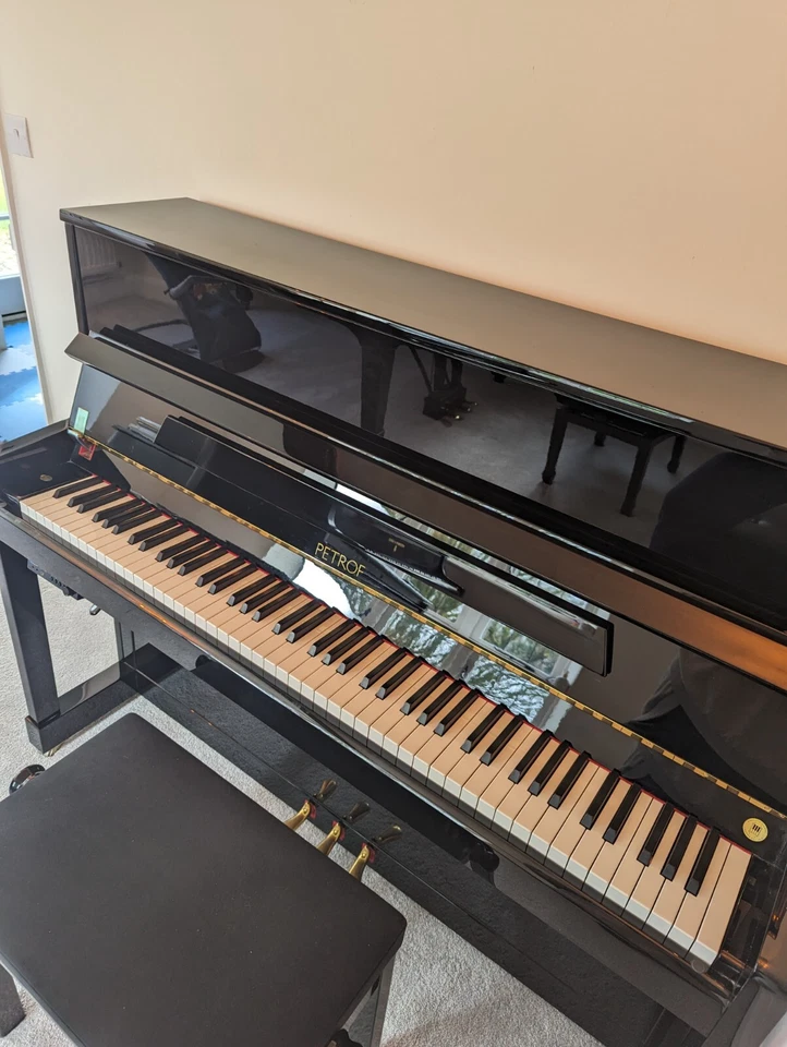 Sistema silencioso vertical Petrof 2022 Foto 4 de 4