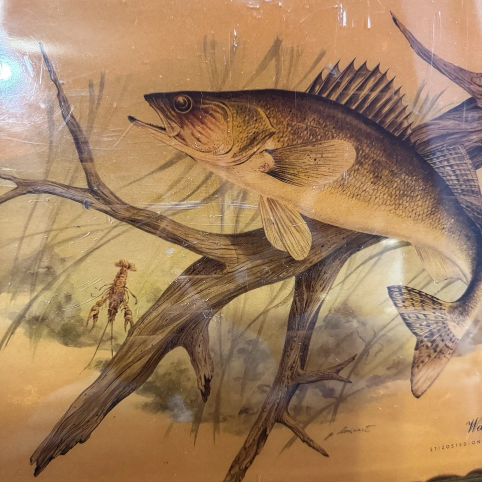 J Lockhart Signed Walleye Lacquered Plague Wall Hanger Cottage Farm Man Cave - Image 2 of 4