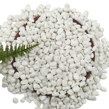 5 LB Natural White Gravel for Plants, Succulents Cactus, Aquarium, Fish Tank,