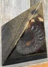 Orgone Ammonite Pyramid EMF Protection Orgone Pyramid Ammonite Fossil