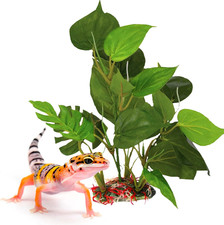 Gecko  Reptile Tank Decor Artificial Plant Gecko Anubias - Plastic 