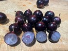 Plinia sp. "Minúscula top" Jaboticaba — photo 1