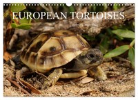 European Tortoises / Uk-Version (Wall Calendar 2026 Din A3 Landscape),...