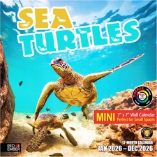 Sea Turtles 2026 Mini Wall Calendar 12 Month | 7" X 14" Open | Thick & Sturdy Pa