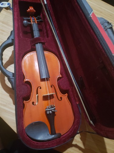 Euro Standard Reghin Romania 2004 size 1/2 serial #92825 model #065 violin - Picture 12 of 13