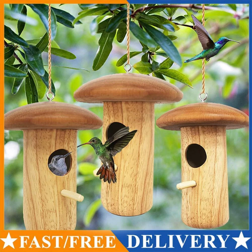 Wooden bird swing 2025