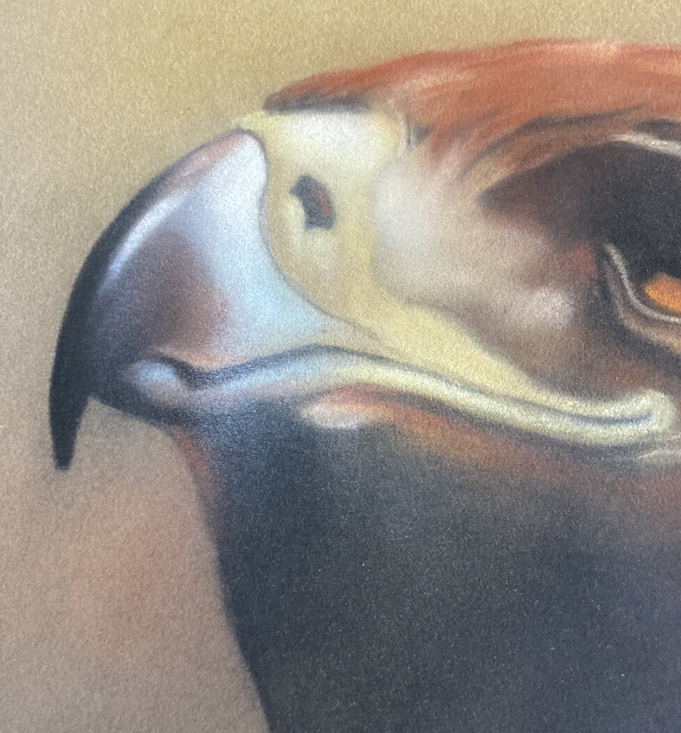 Bild 7 von 12