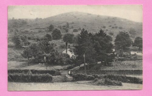 [4796] Herefordshire 1921 Postcard The Holly Bush Pass Near Eastnor - Picture 1 of 2