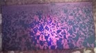 Bild 12 von 12