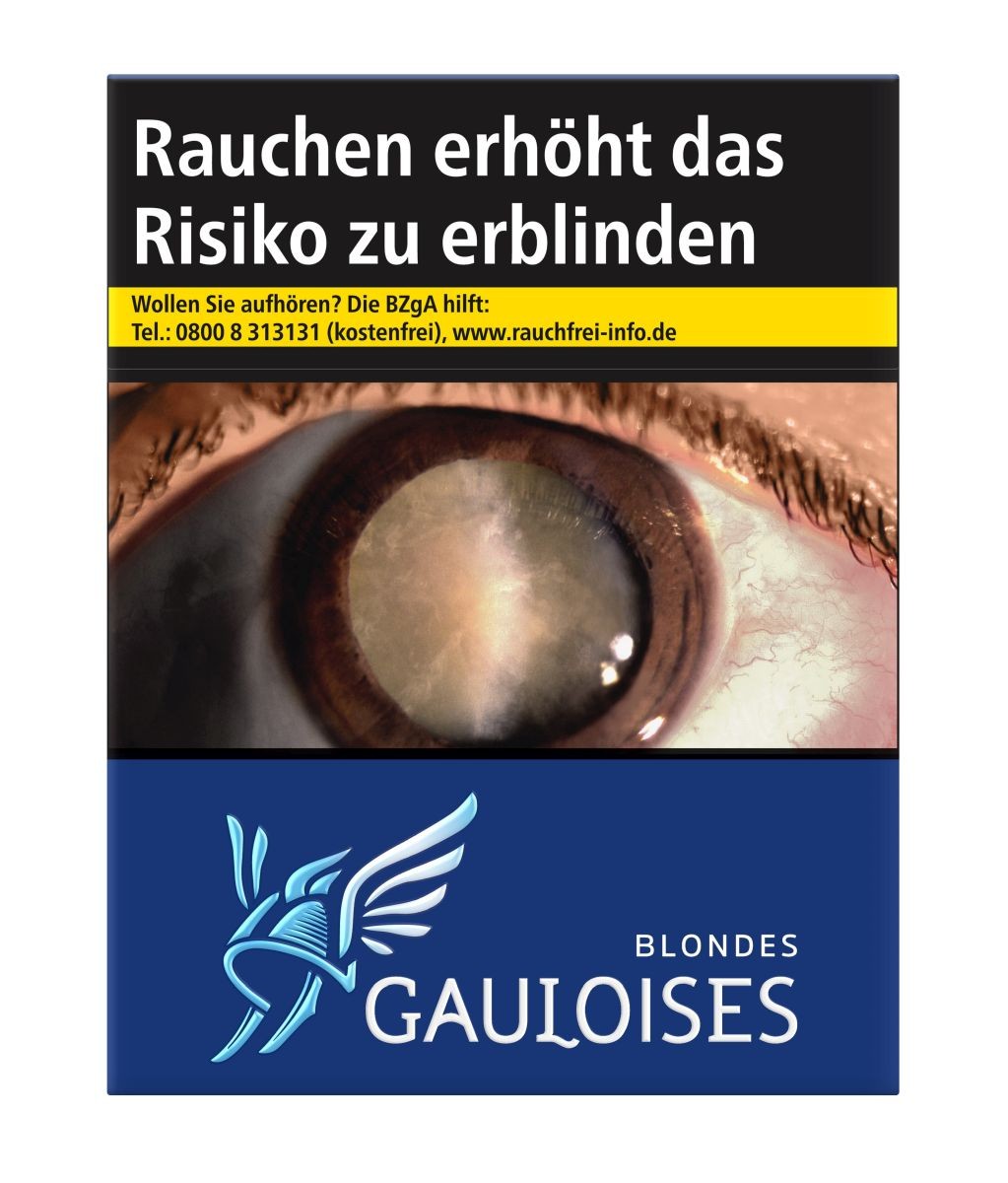 elfbar elfa master akku Einweg-Vape-Grohandel Tschechien Archiv