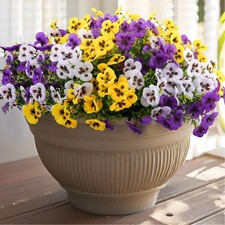 Rowfad 18 Pcs Artificial Fake Pansy Flowers for Outdoor, Faux Silk Pansies Sp...