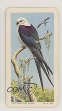 1964 Brooke Bond Red Rose Tropical Birds Tea Canadian Black Back #8 9aj