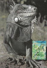 Carte 1er jour Espèces protégées Iguane des Antilles 2007