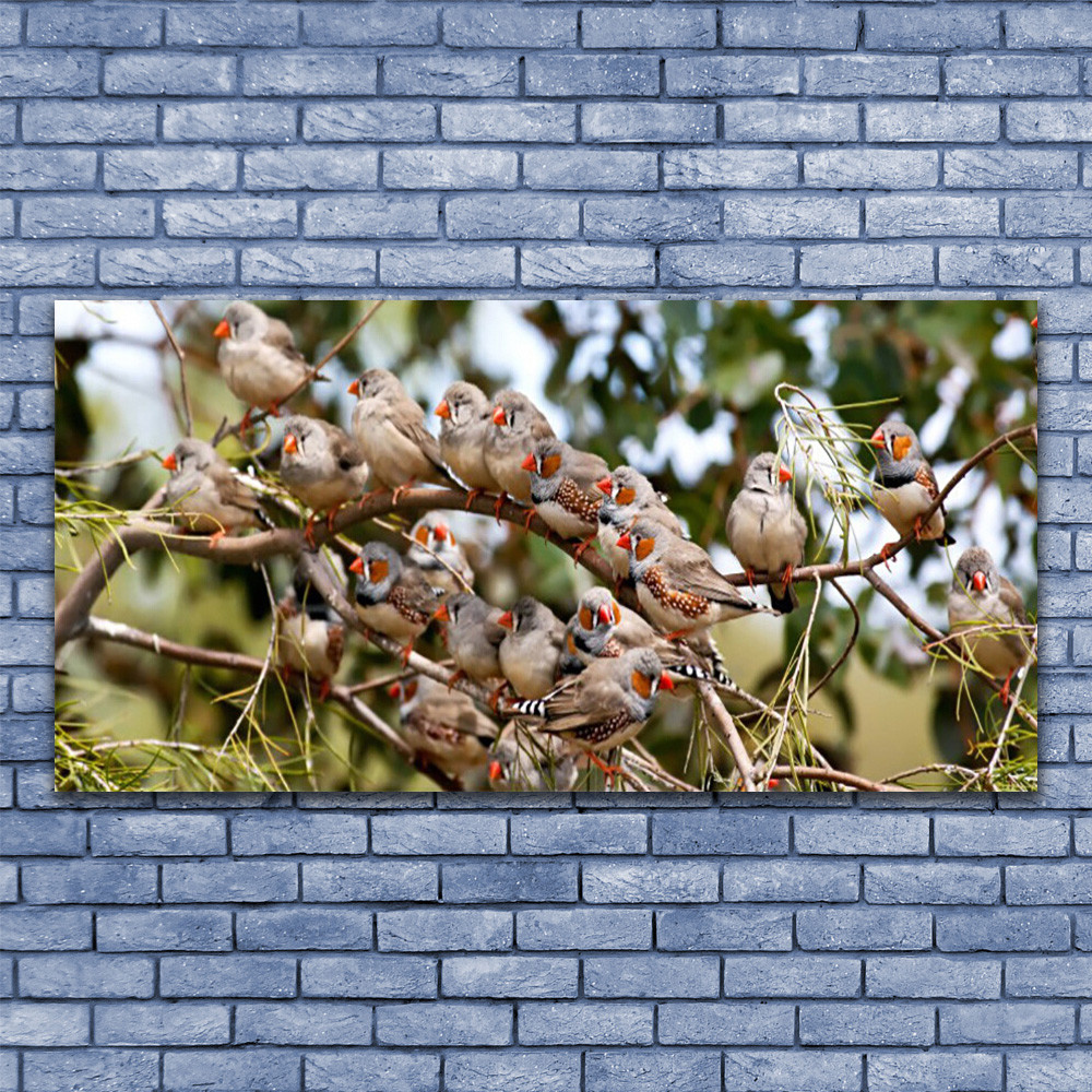 Tableau plexiglas oiseaux 140x70 cm pour decoration murale de salon