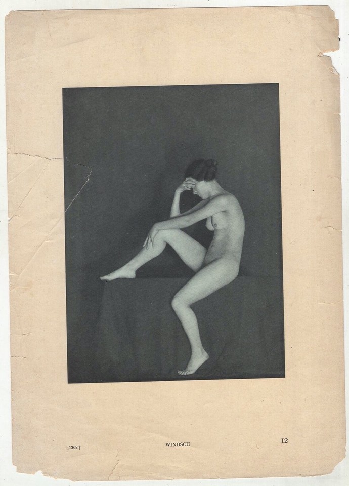 (not)GAYbut: vtg 1920s nude woman 7x10 German photo plate lot FIGURE STUDIES 20p | eBay