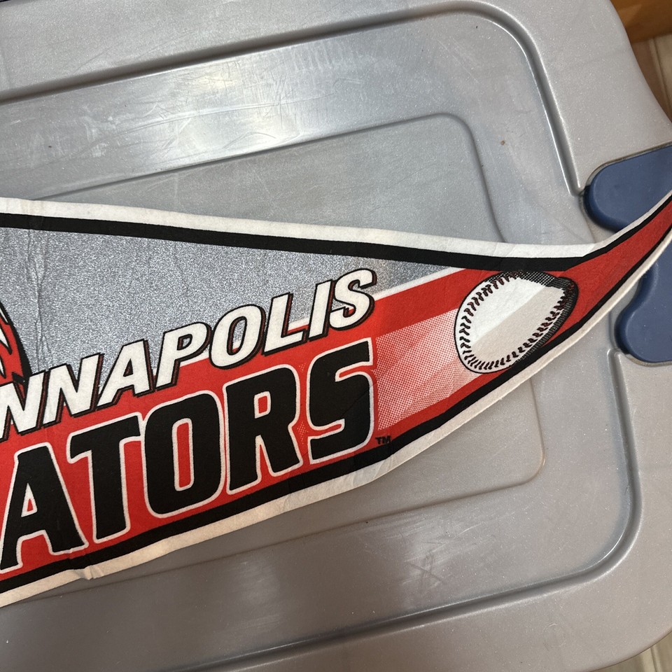 Kannapolis Intimidators Wall Pennant Hard To Find Minor League Baseball