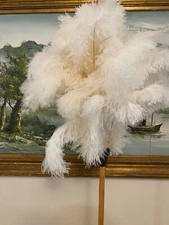 European light cream ostrich feather dusters first grade with Jumbo 60 gram head