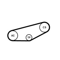 Continental Ctam Keilrippenriemensatz 4PK855K1 FüR Audi Skoda VW