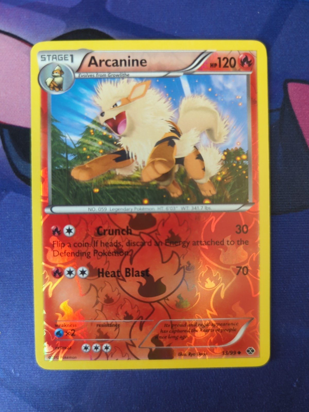 Arcanine Next Destinies Reverse Holo Card 13/99 NM Condition