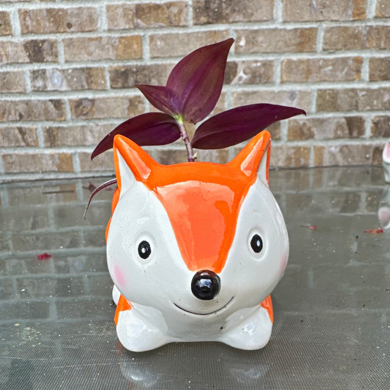 Orange White Black Fox Ceramic Planter Pot, Glossy Finish, Animal Theme