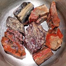 A 4+Lb Petrified Wood Northern Arizona Mixed Colors Choice Rough