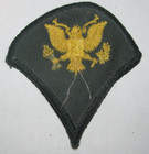 Military Patch Uniform Green Gold Eagle Army — photo 2
