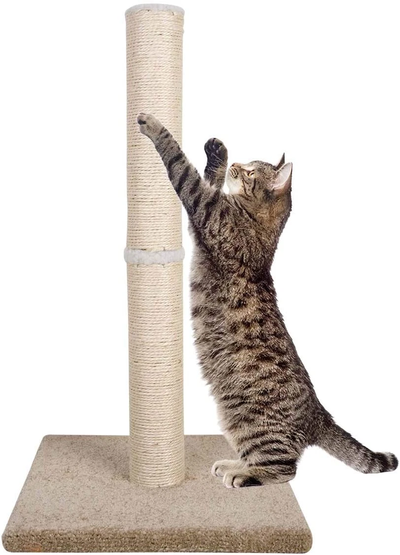 Best sisal rope top for cat post