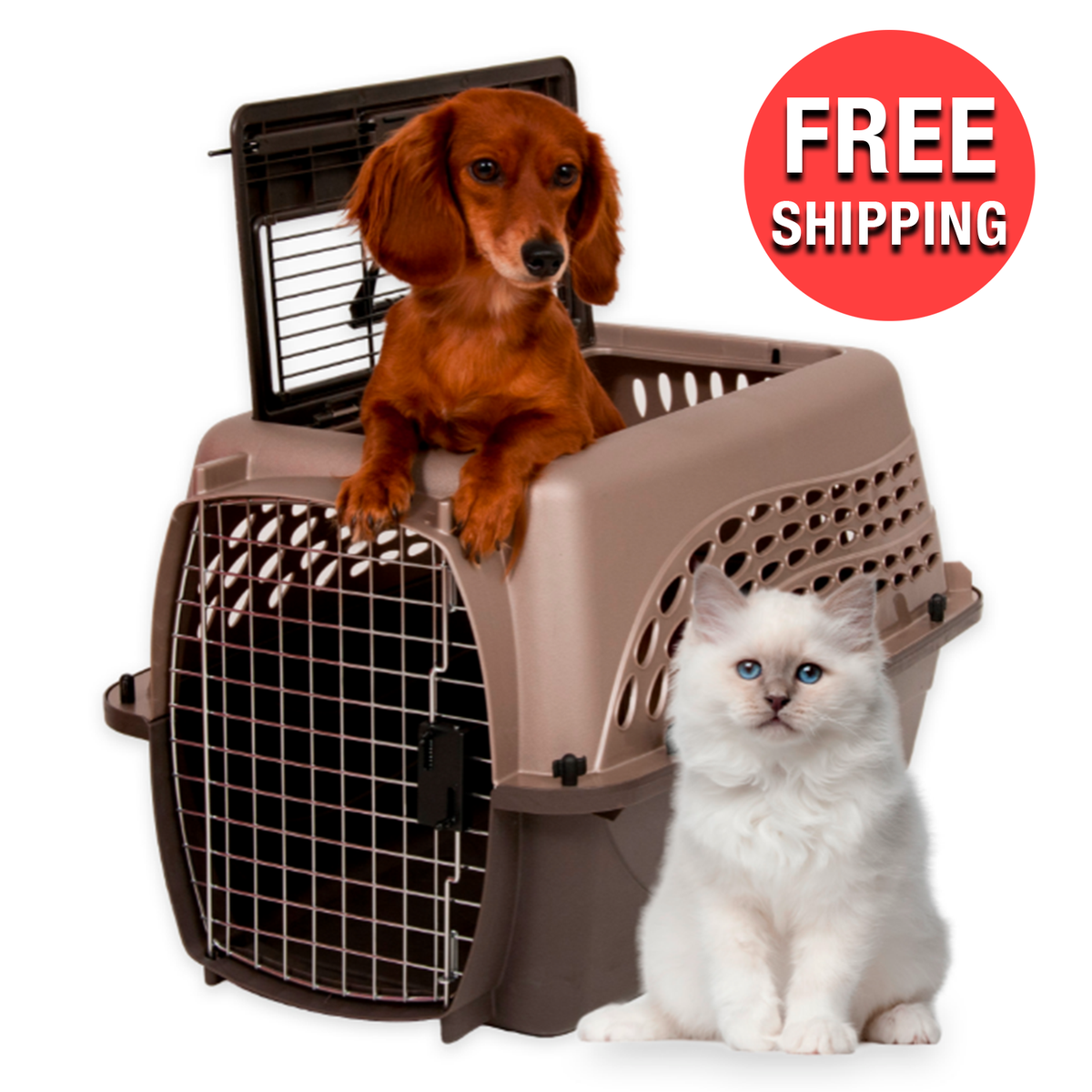 Two Door Top Load Plastic Dog Cat Kennel Hard-Sided Pet Travel