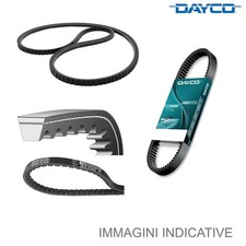 Cinghia Poly-V Dayco 8PK1110MA per Motori Marini Volvo Penta