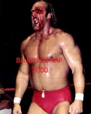 HULK HOGAN WRESTLER 8 X 10 WRESTLING PHOTO WWF WCW