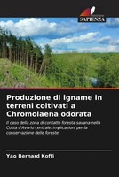 Yao Bernard Koffi | Produzione Di Igname In Terreni Coltivati A Chromolaena...
