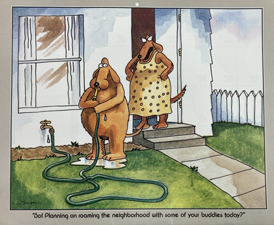 The Far Side Gallery Gary Larson From Calendar Frame Suitable Dog