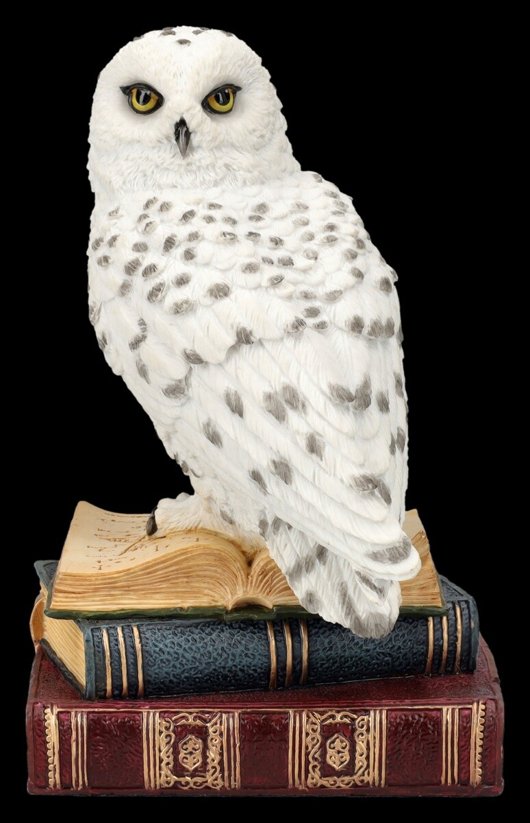 Owl Figure - Snowy Owl on Magic Books - Magic Fantasy Decoration Bird Veronese