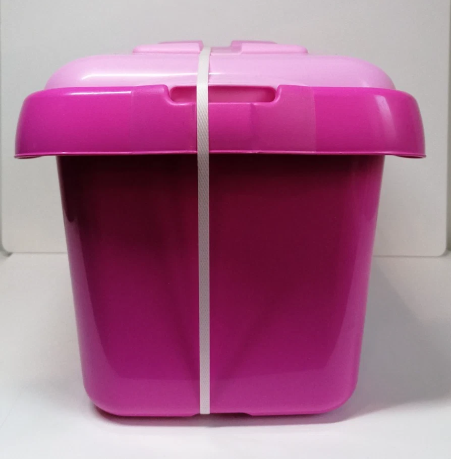 Lego 4625 Pink Brick Box Bricks and More - 2012 Neuf New - Photo 2/4