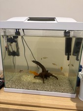 Aqua One Betta Trio Glass Aquarium 32L