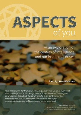 Aspects of You | Cicci Lyckow Bäckman | Taschenbuch | Paperback | Englisch