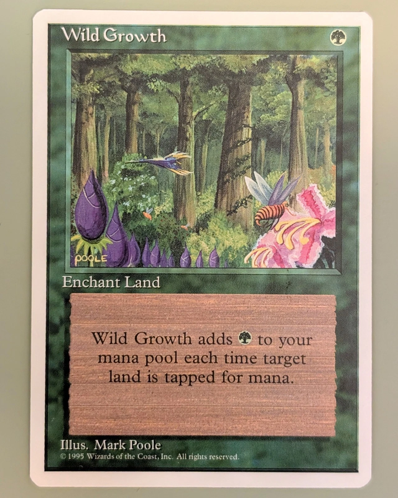 Wild Growth - 4th Edition #289 Common - Near Mint - Vintage Magic the Gathering