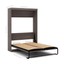pur 90" queen wall bed kit in bark gray