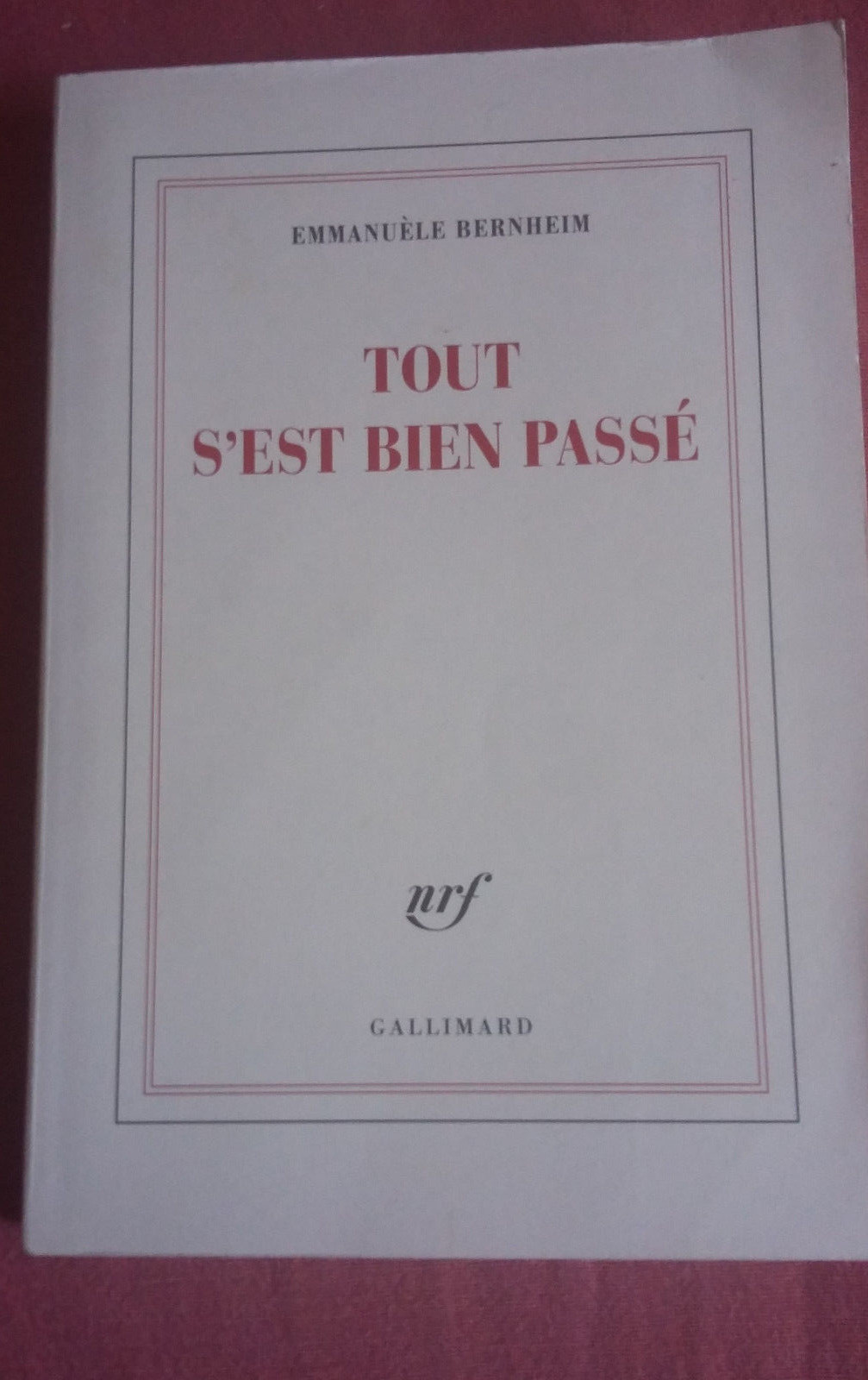 Emmanuèle Bernheim * Tout s’est Bien Passé * Ed . Gallimard * 2013