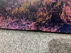Picture 4 of 8