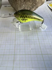 Bagley DB3 LB9 Little Bass On Chartreuse 