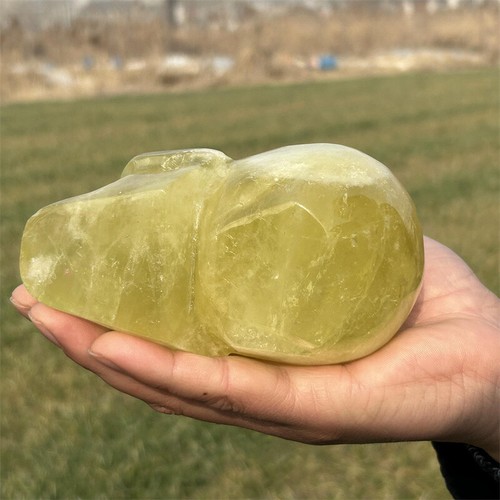 2.53LB Hand Carved Citrine Skull Natural Quartz Crystal Skull Reiki Decor Gift - 第 4/12 張圖片