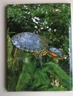Bild 12 von 12