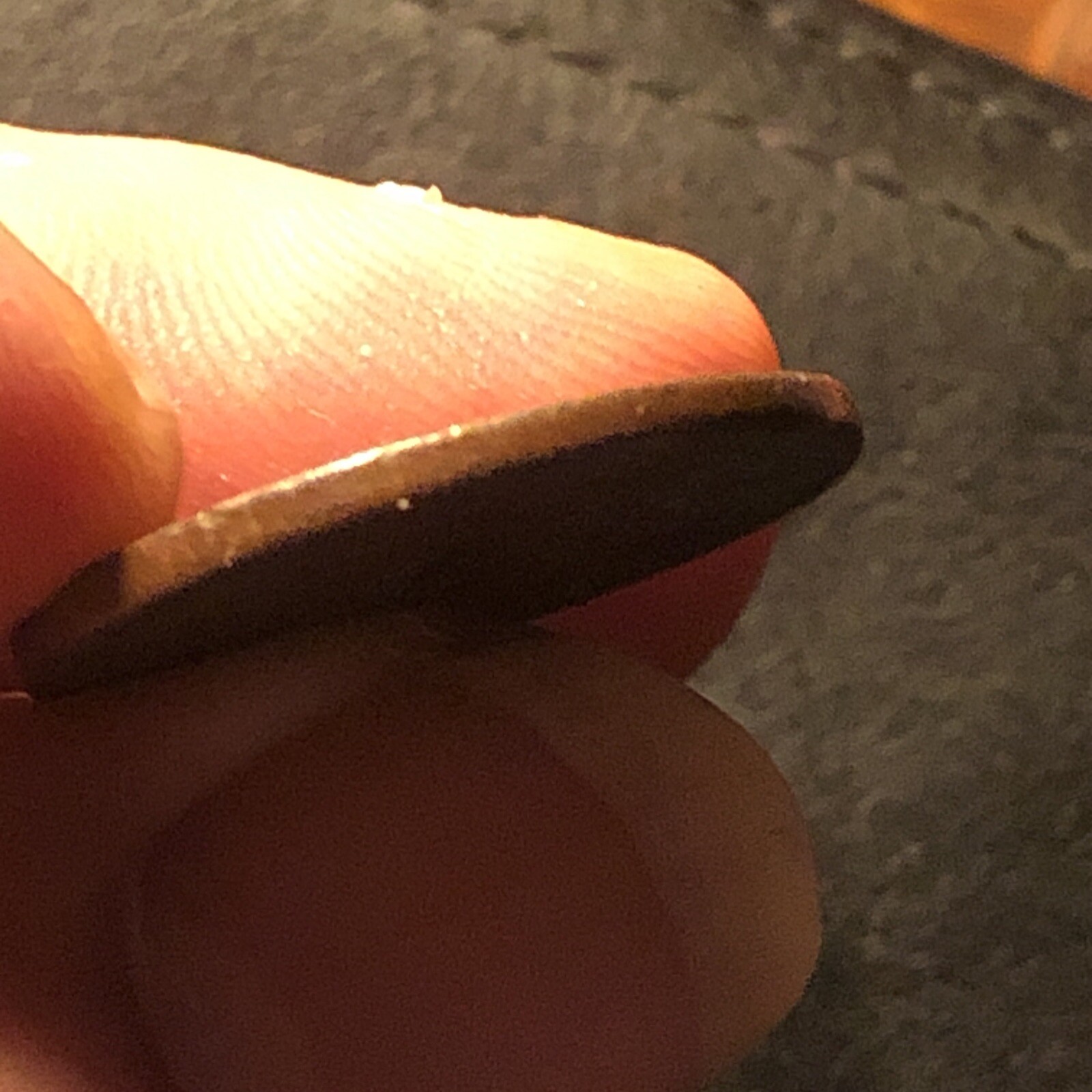 Picture 8 of 10