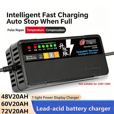 48V, 60V, 72V, 20Ah Ladegerät Blei-Säure-Batterieladegerät für Elektrofahrzeuge