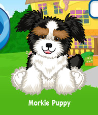 Webkinz Morkie Puppy Virtual PET Adoption Code Only Messaged